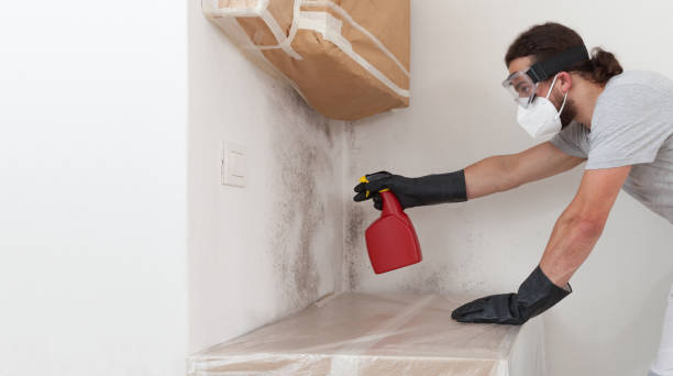Professional Mold Removal technician working in Bedford, MA